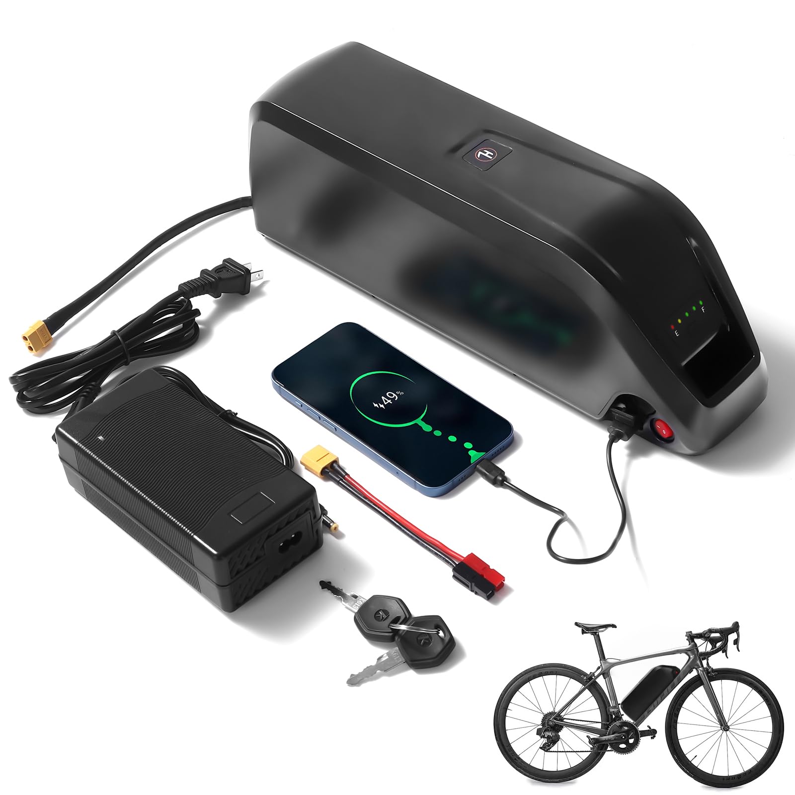 Electric Bike Battery Service